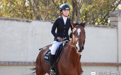 巴西肥妇大白屁股毛茸茸